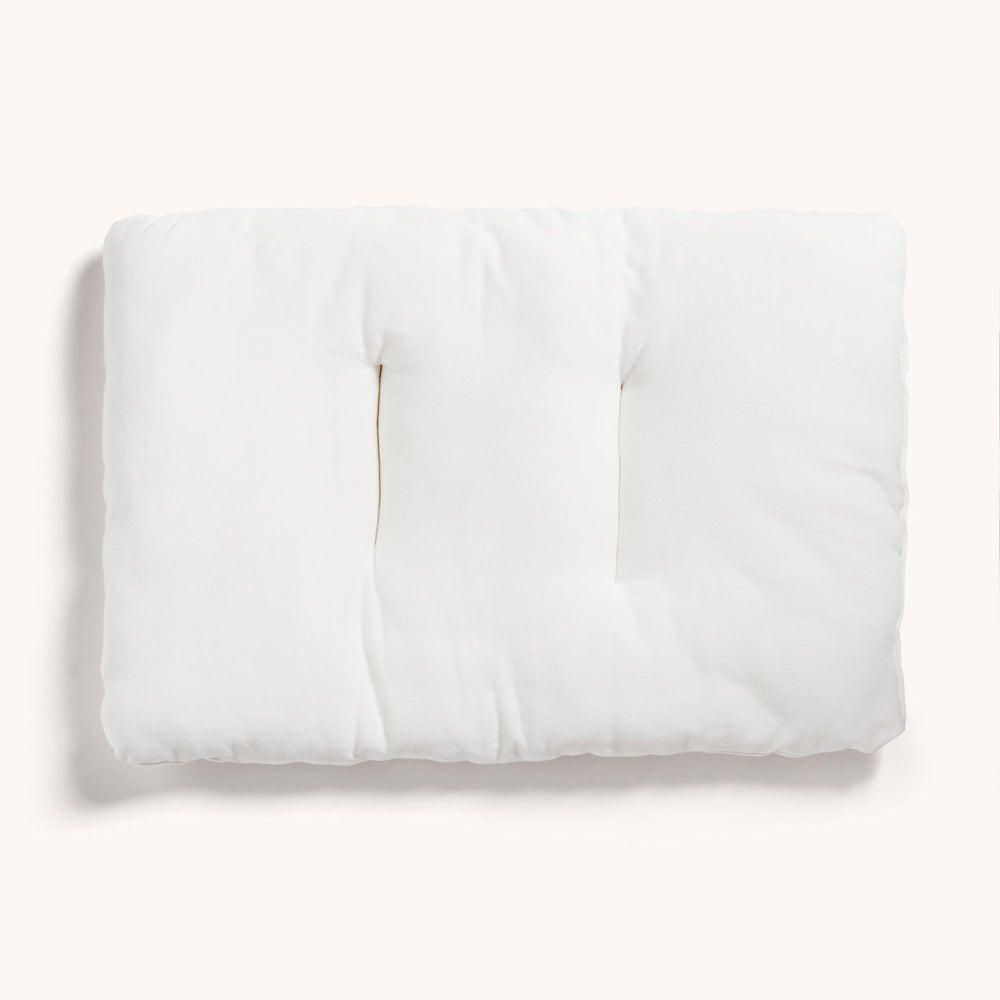 Pillow with case 0.3 TOG
